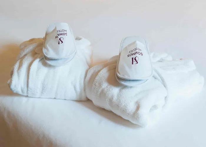 Sommos Aneto Hotel 4*