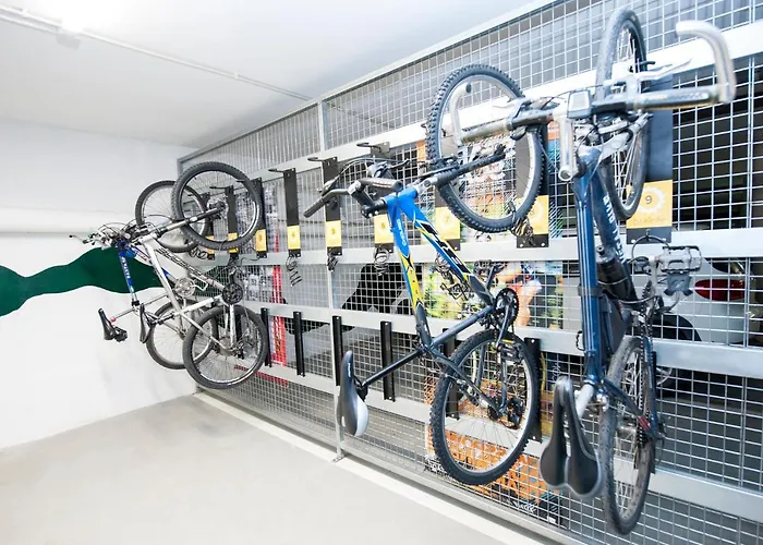 Sommos Aneto ホテル 4*